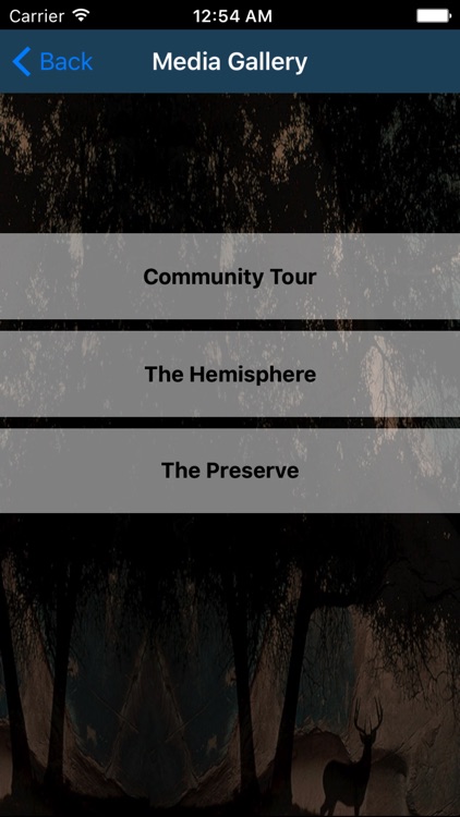 City View Apartments