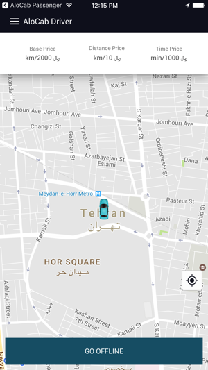 Flexible Taxi Driver