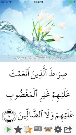 Visual Quran iPhone image 1