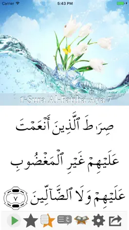 Game screenshot Visual Quran mod apk
