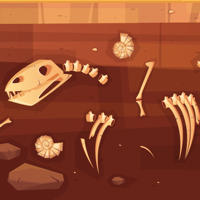 Dinosaur Dig Jurassic Dig