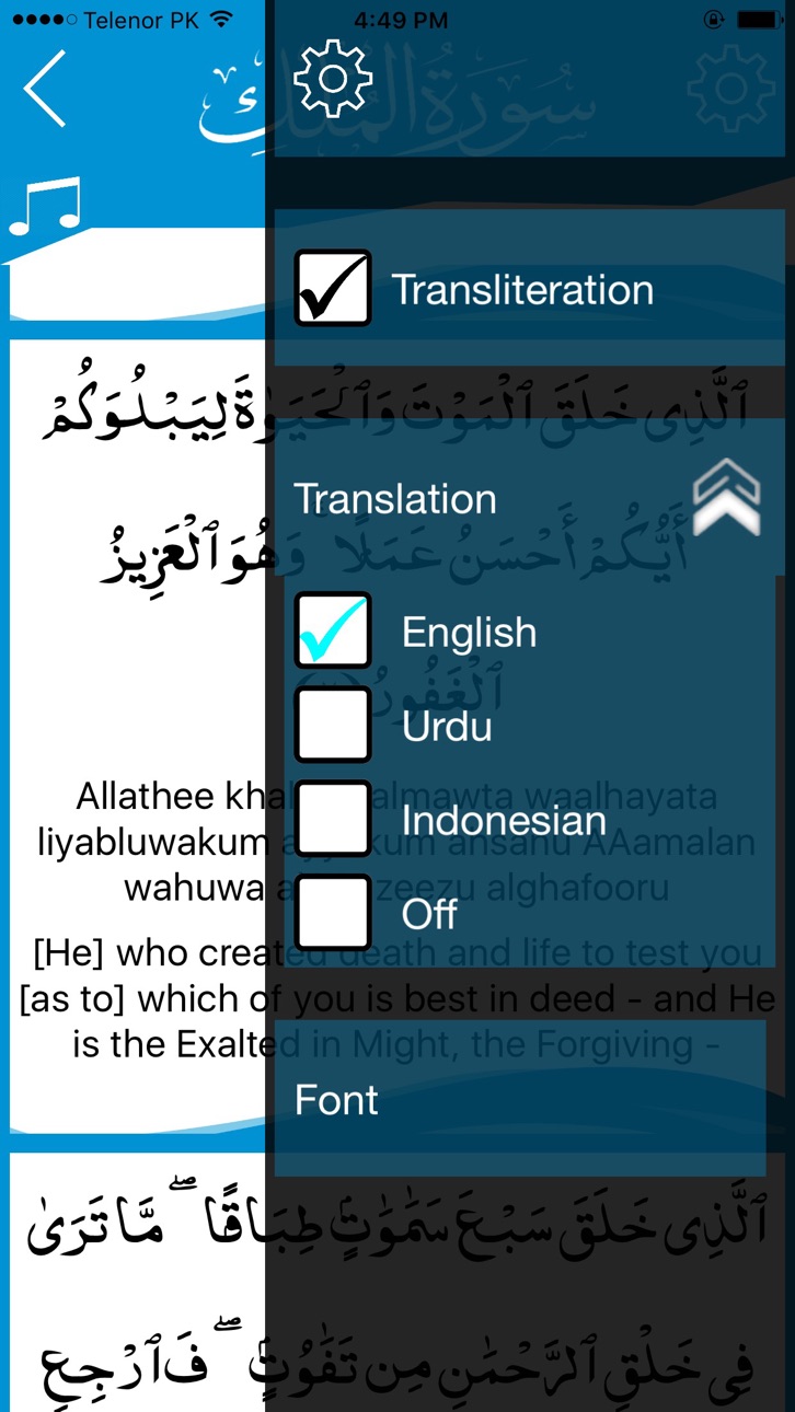 iPhone screenshot