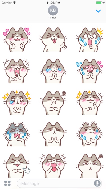 Misa The Funny Kitten Stickers