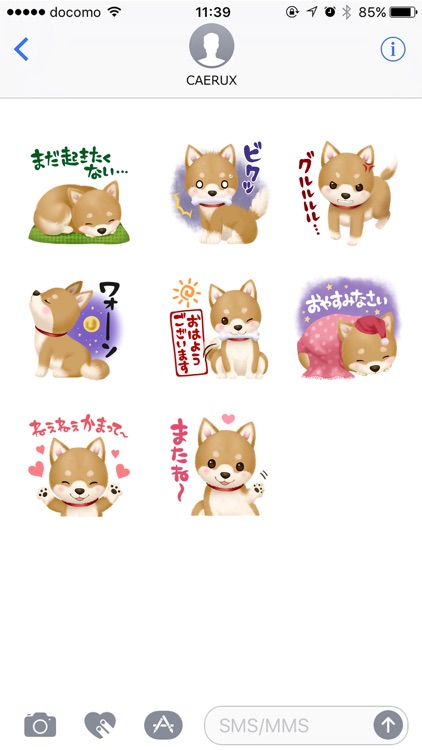 甘え上手になれる！？柴犬コタロウのステッカー