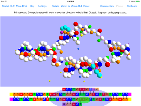 OnScreen DNA Replication screenshot 2