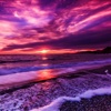 Purple Sunset Wallpapers HD-Quotes Backgrounds