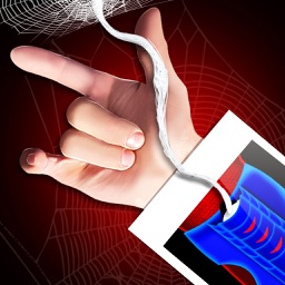 Spider Hand Web Simulator