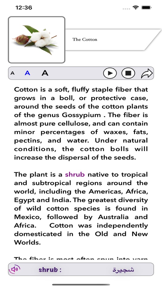 #6. Englisho (iOS) By: dena mostafa
