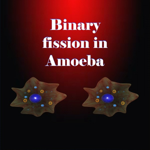 Binary fission in Amoeba icon