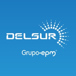 Delsur