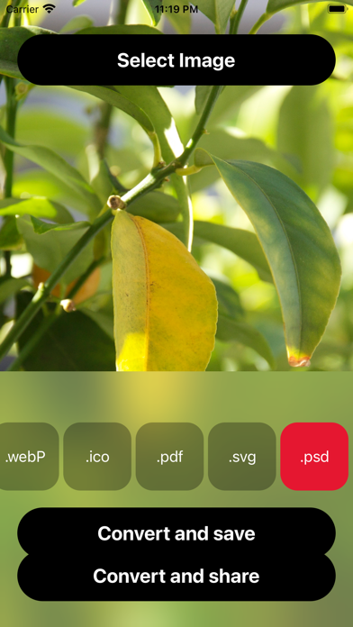 Photo to PDF