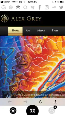 Game screenshot CoSM - Alex Grey & Allyson Grey hack
