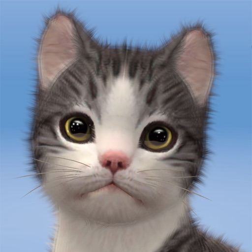 My Cat:Kitty Game Simulator icon