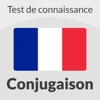 French Conjugation Test icon