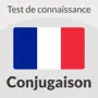 French Conjugation Test