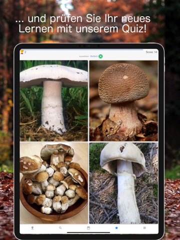 Pilz Erkenner - Auto Erkennung iPad screenshot 3