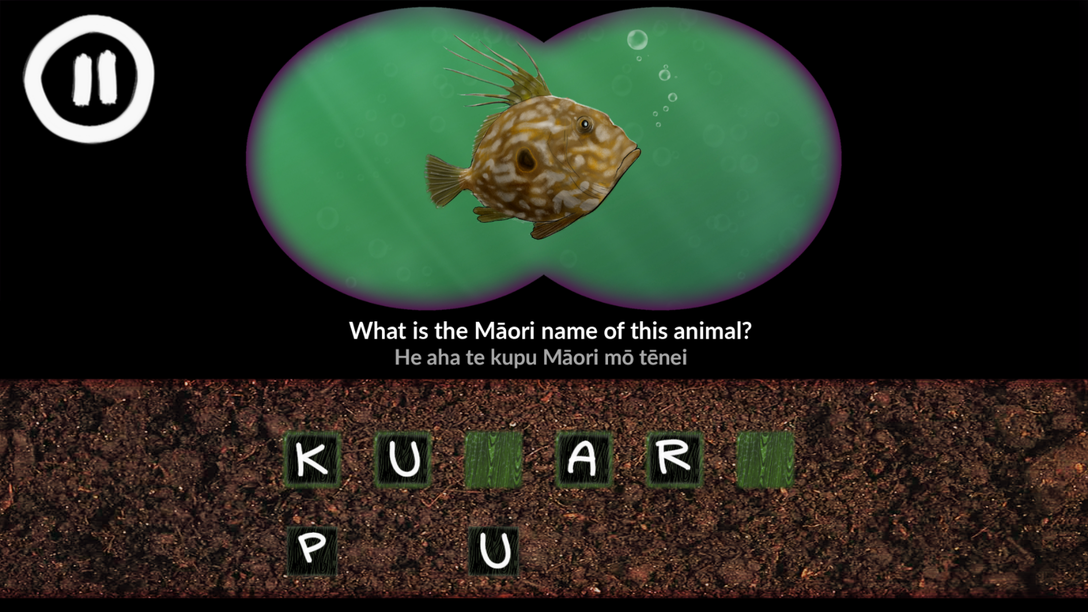 He Kīrehe Māori / Native Animals