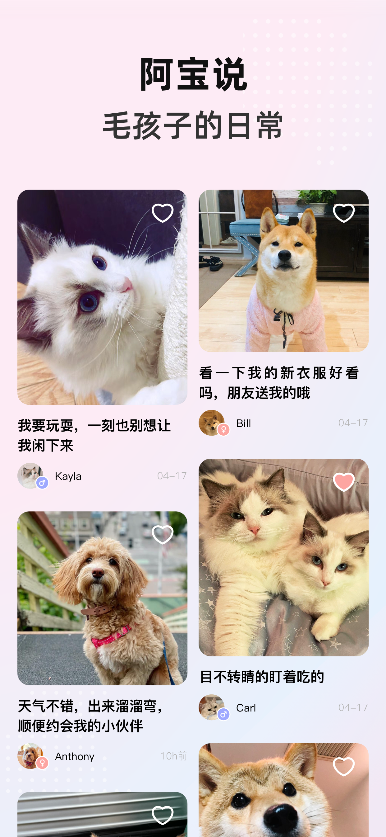 阿宝说-宠物成长交流服务平台
