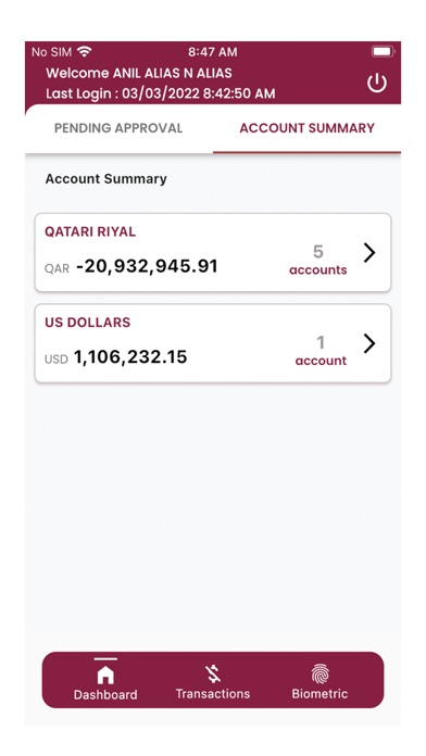 CB Corporate Lite Screenshot