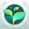Instantly identify over 600,000 types of plants: flowers, trees, succulents, mushrooms, cacti and more with Plant Identifier