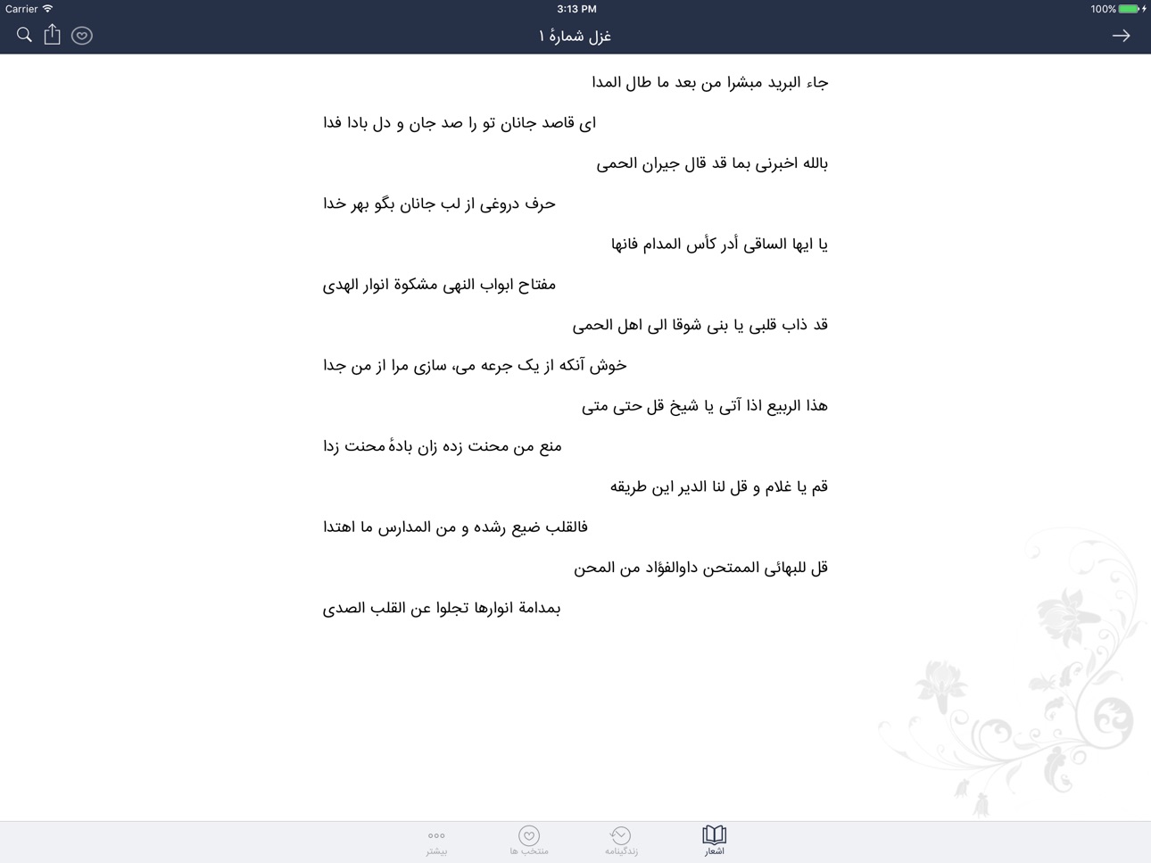 iPad screenshot