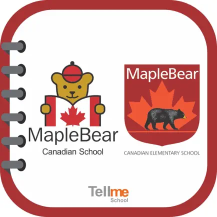 Maple Bear São Luís Читы