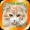- Cats and Puzzles