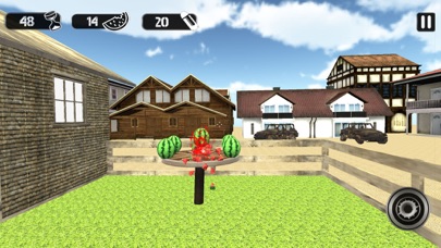 Watermelon Gun Sharpshooter screenshot 2