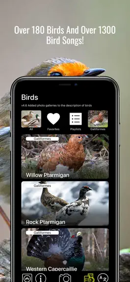 Game screenshot Bird Decoys - European Birds mod apk