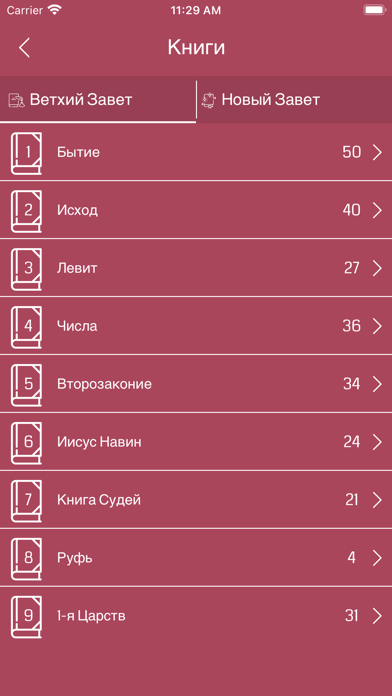Russian Bible Offline Screenshot