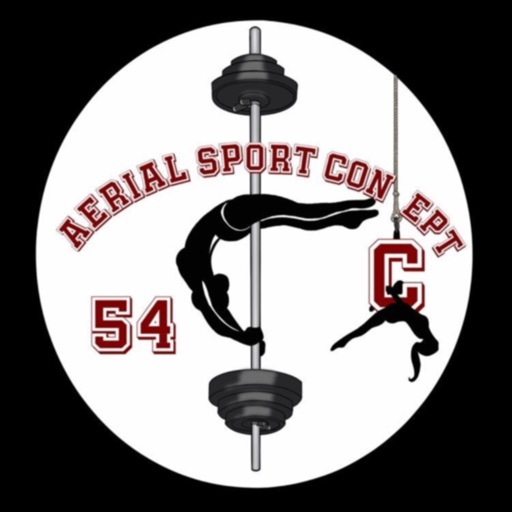 Aerial sport concept 54