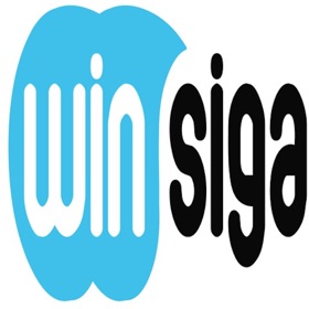 螢幕擷取畫面 (4) Winsiga BI
