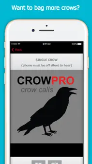 Crow Calls for Hunting iphone bilder 0