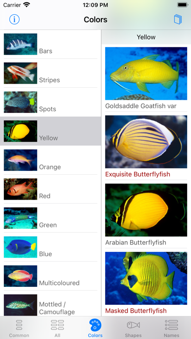 Red Sea Fish ID Screenshot