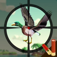 Island Duck Hunting Classic Pro 2017