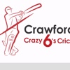 Crazy 6s Cricket