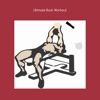 Ultimate back workout