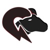 Aries Enerji Mobil icon