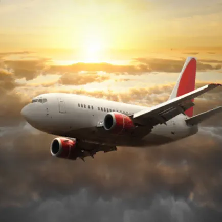 航空霸业 Читы