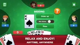 simple euchre problems & solutions and troubleshooting guide - 3
