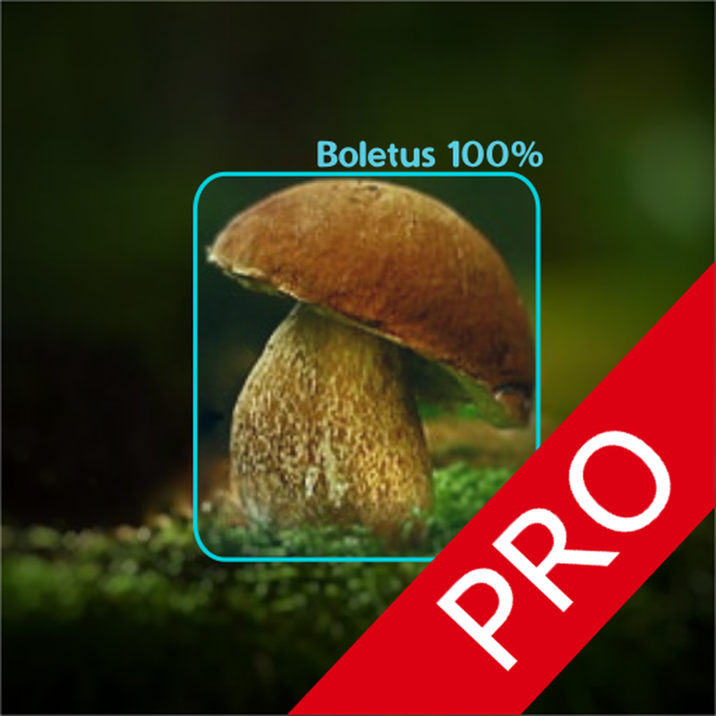 Pilzerkennung Pro