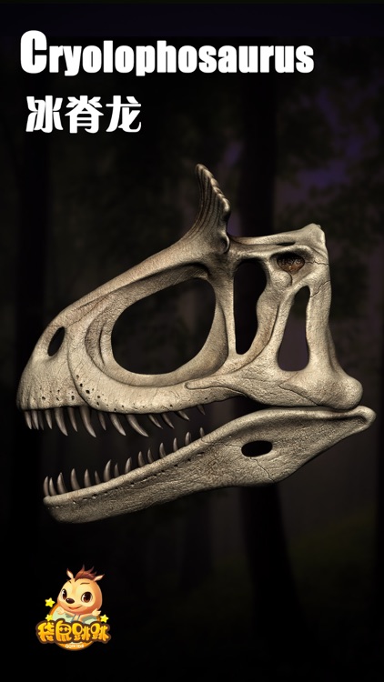 冰脊龙-袋鼠跳跳