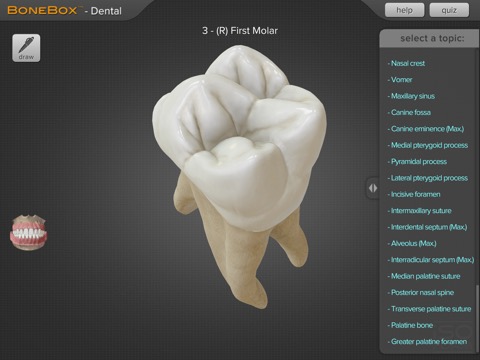 BoneBox™ - Dental Proのおすすめ画像2