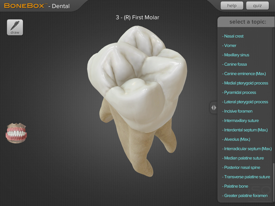 #2. BoneBox™ - Dental Pro (iOS) Av: iSO-FORM, LLC