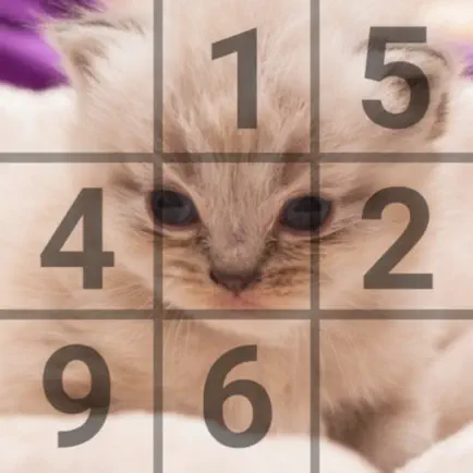 Sudoku Cats Cheats