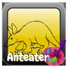 Coloring Books Anteater - Paint