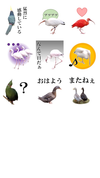 トリ120パーセント