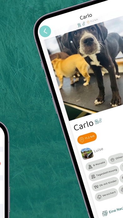 Petiwo - Trusted Pet Sitters Screenshot