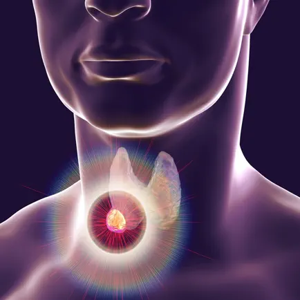 Learn Endocrine System Cheats