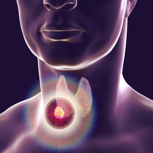 Learn Endocrine System